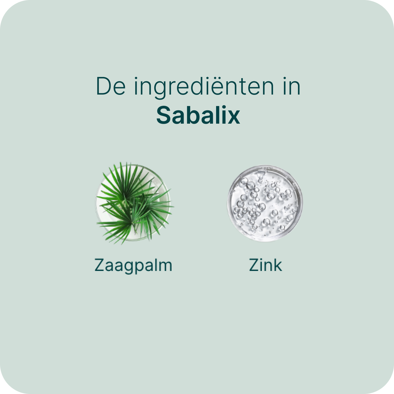 Sabalix billede 4