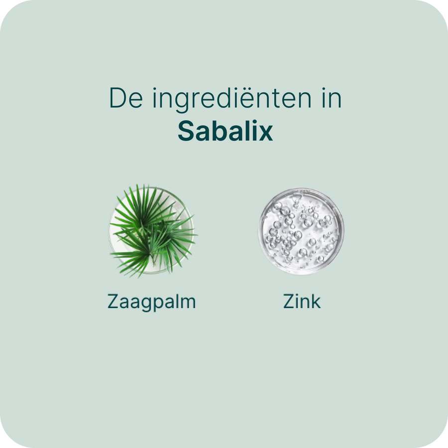 Sabalix billede 4