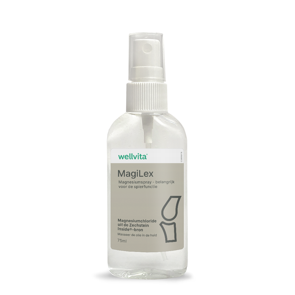 MagiLex billede 1
