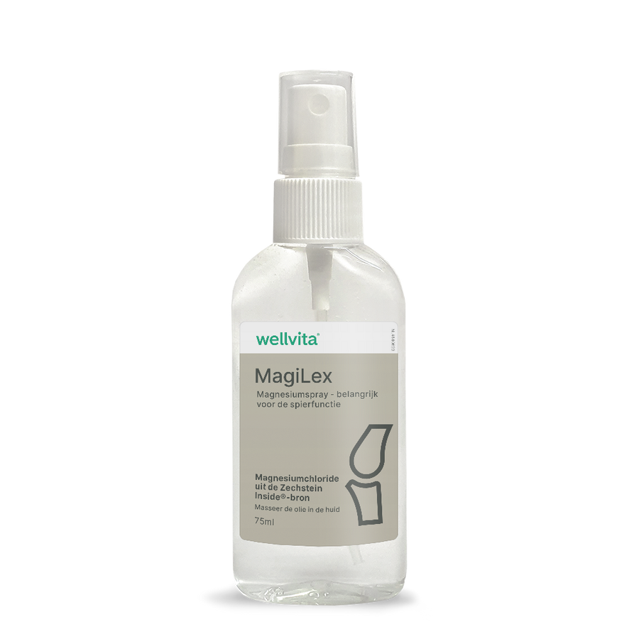 MagiLex billede 1