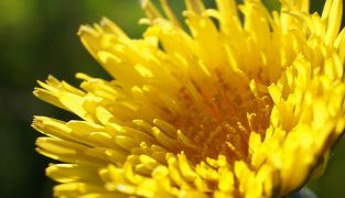 Macoform productverpakking