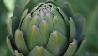 Macoform Complex productverpakking