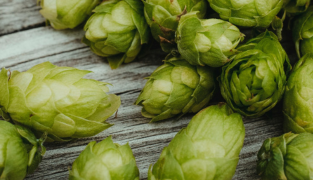 Sanaforte productverpakking